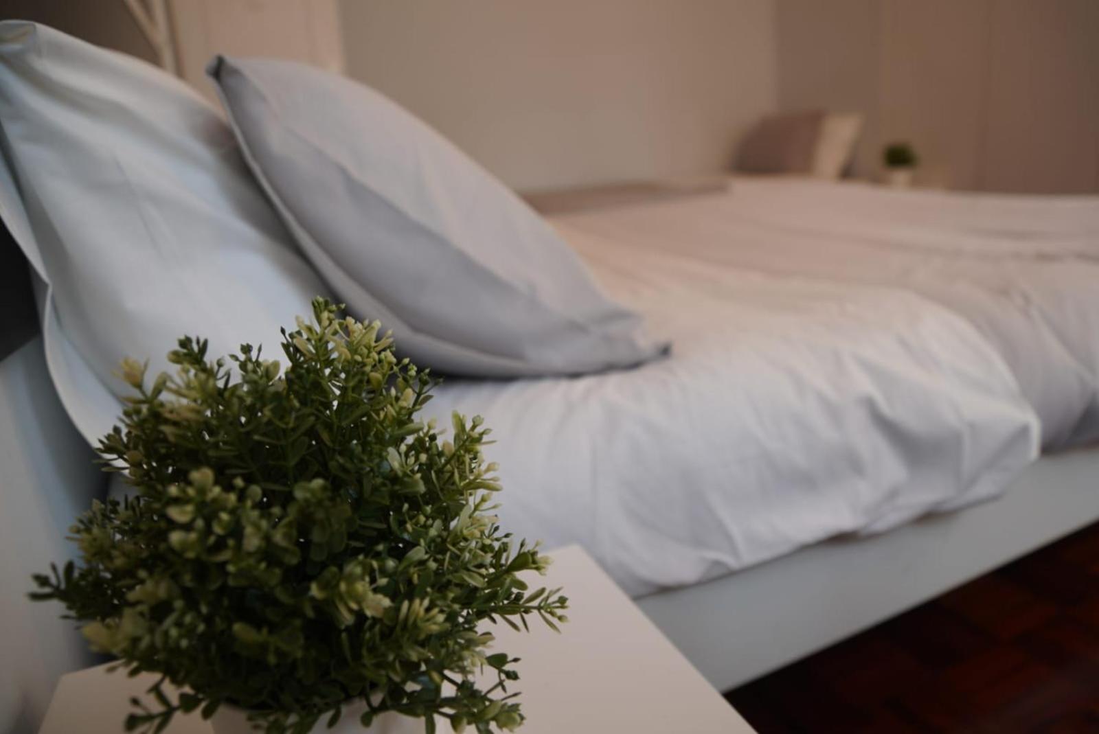 Bisengototo Homestay Lisboa Eksteriør billede